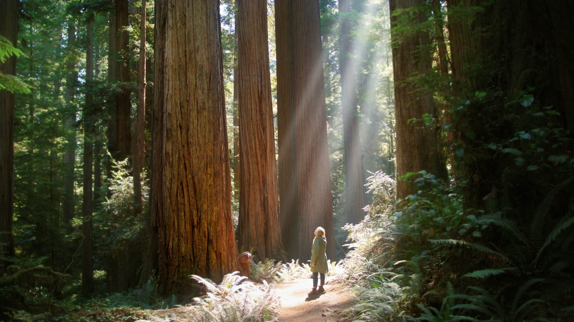 Grow(ing) Up: 'Giants Rising' | Green Film Festival of San Francisco 2024