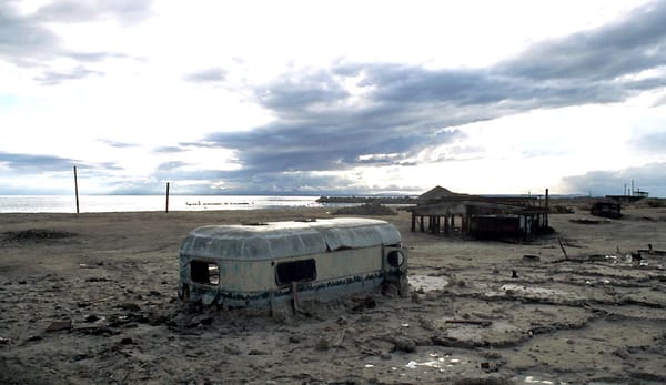 Plenty of Plague, Few Pleasures in the "Perfect Sewer" of the Salton Sea