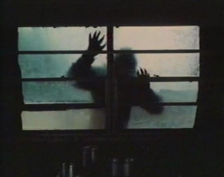 The Nutriaman Reloaded